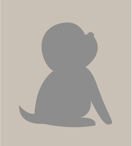 Puppy Placeholder